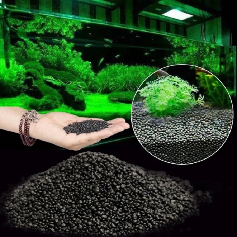 Planted Aquarium With Sand - Aquarium Wasser Gras Schlamm Pflanze Samen