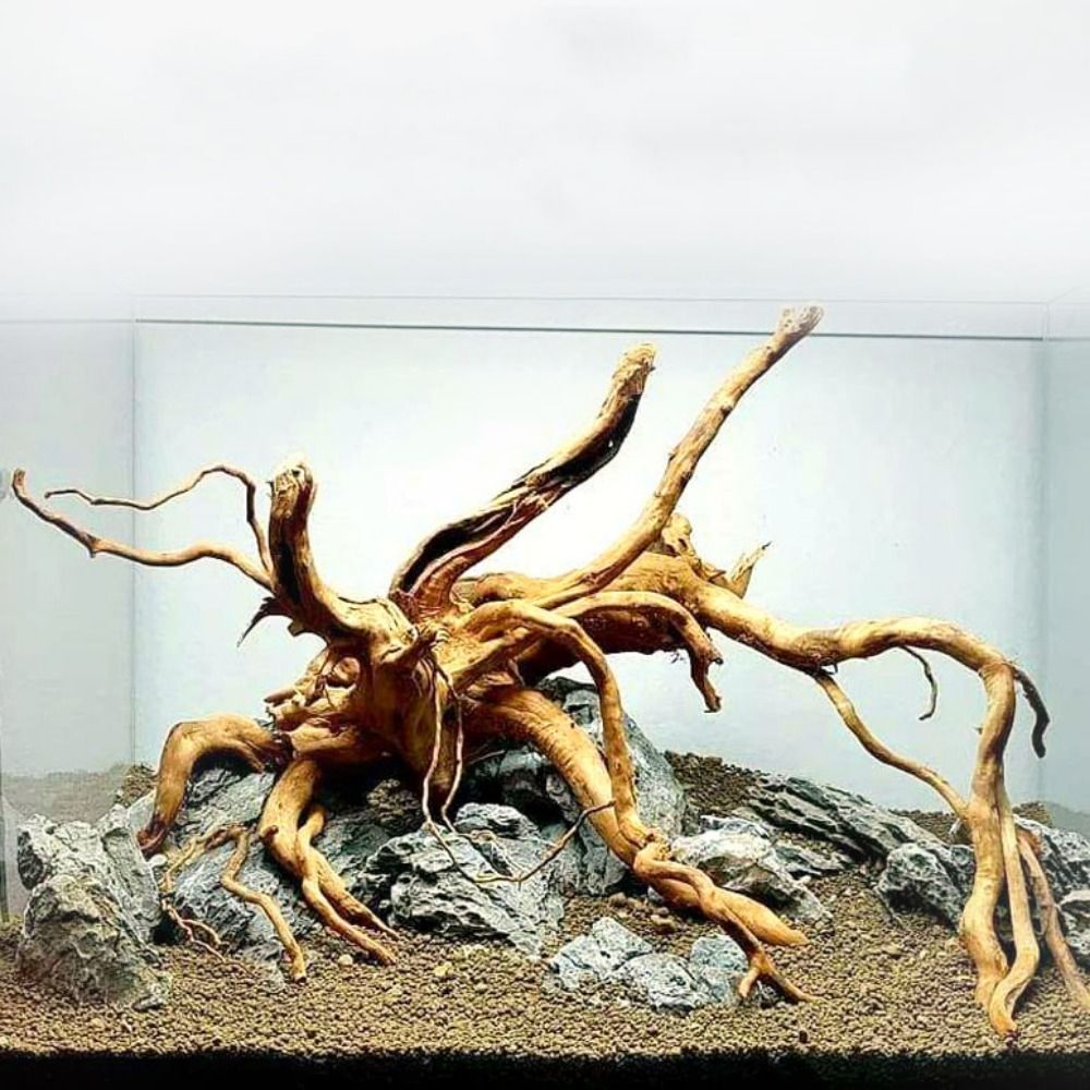 Aquarium Planted Tree - Natürliche Baumstamm Aquarium Dekoration Holz Kunstwerk
