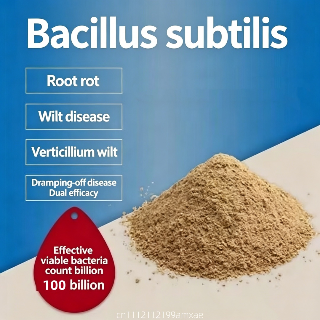 Planted Aquarium Fertilizer - Hochwirksames Bacillus Subtilis Pulver Organischer Probiotischer