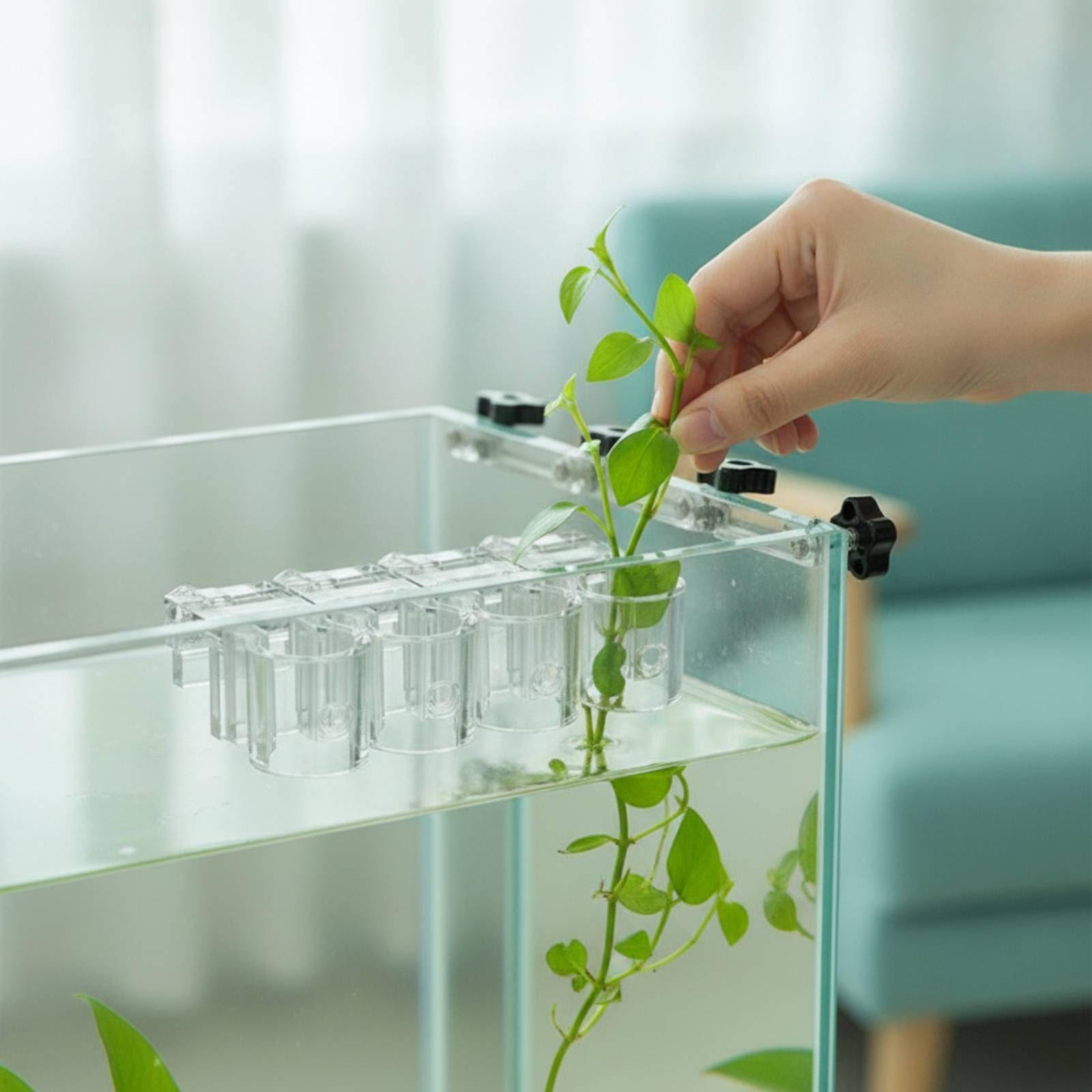 6 Stück Aquarium-Pflanzhalter, – Aquarium Planting Bewertung und Preis