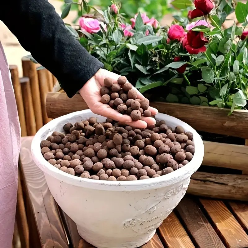 Leichte und atmungsaktive Terr – Aquarium Planting Bewertung und Preis