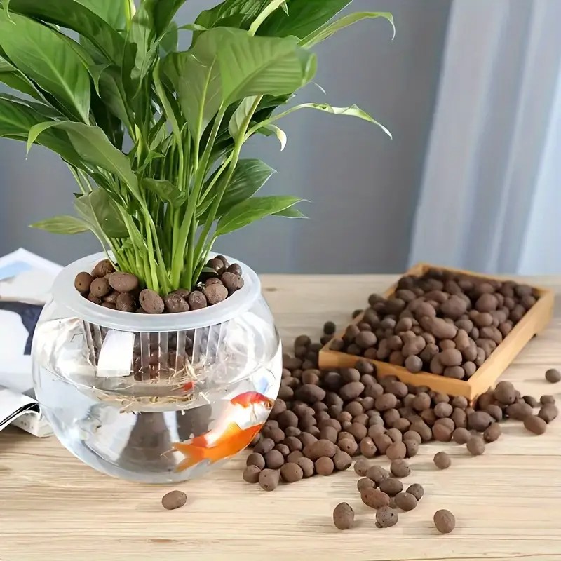 Leichte und atmungsaktive Terr – Aquarium Planting Bewertung und Preis