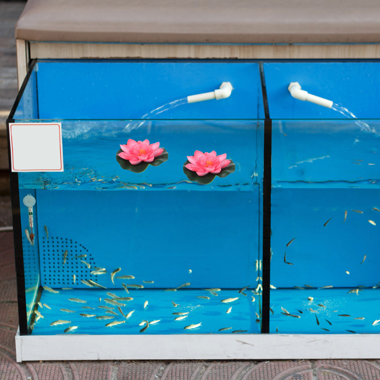 12 Stück Künstliche Schwimmend – Aquarium Planting Bewertung und Preis