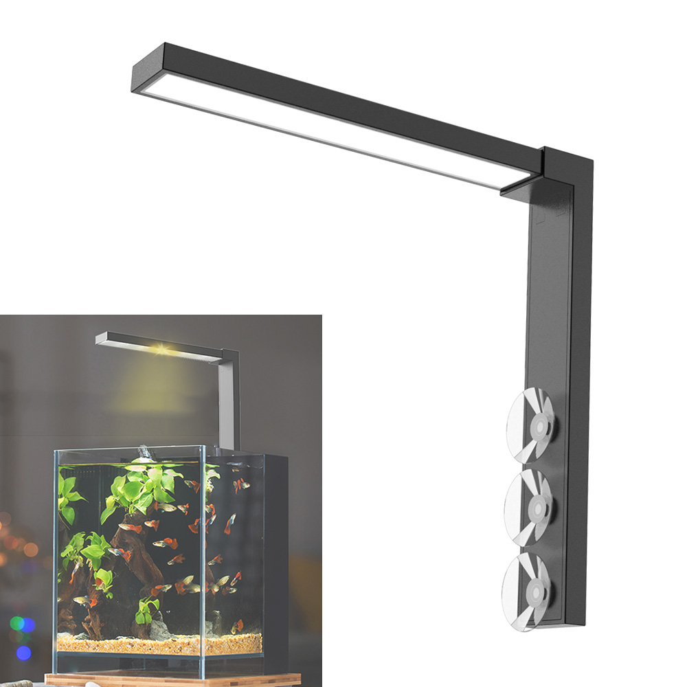 Abs kleine Fischs chale LED Li – Aquarium Plant Display Bewertung und Preis