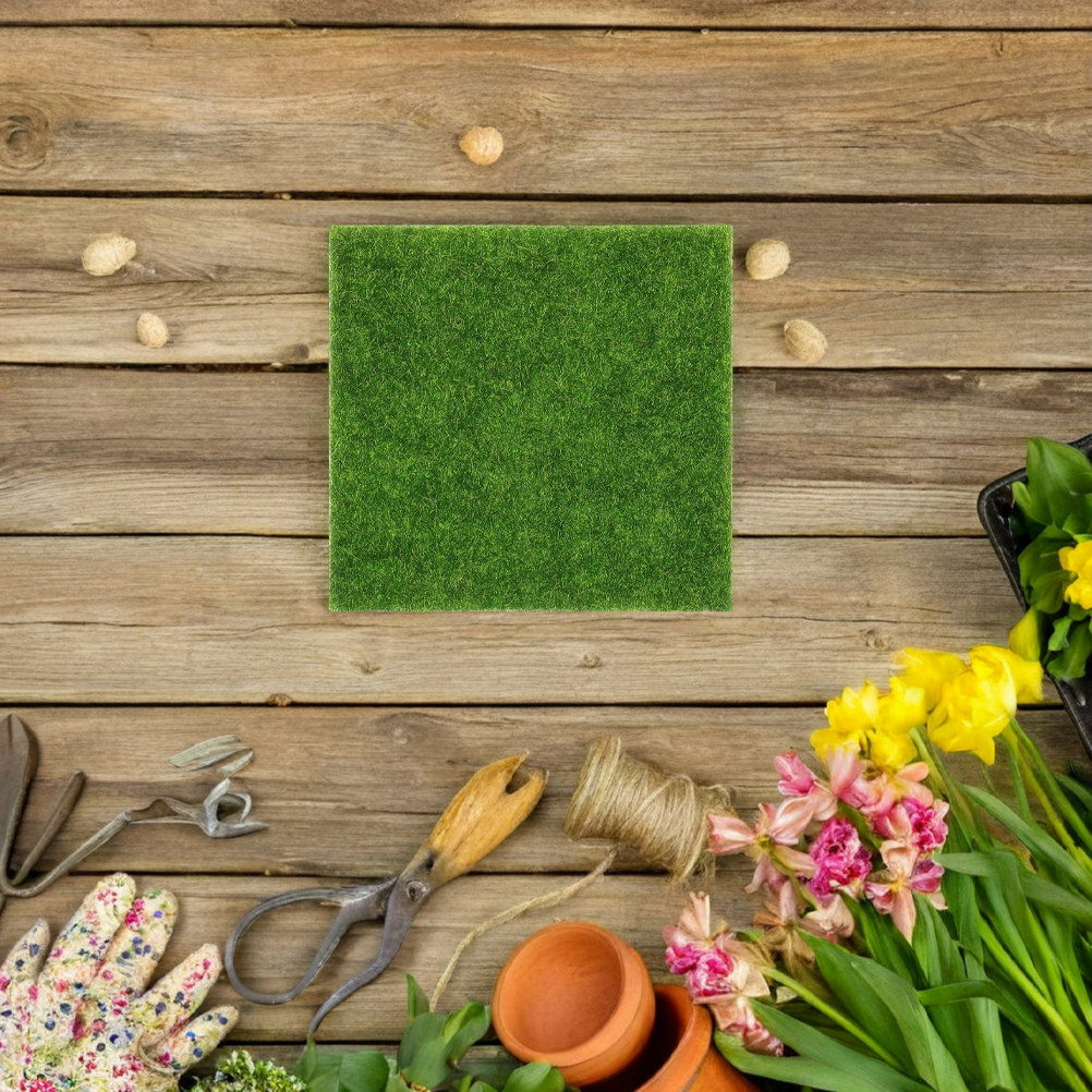 15 Stück Künstlicher Rasen, Re – Aquarium Planting Bewertung und Preis