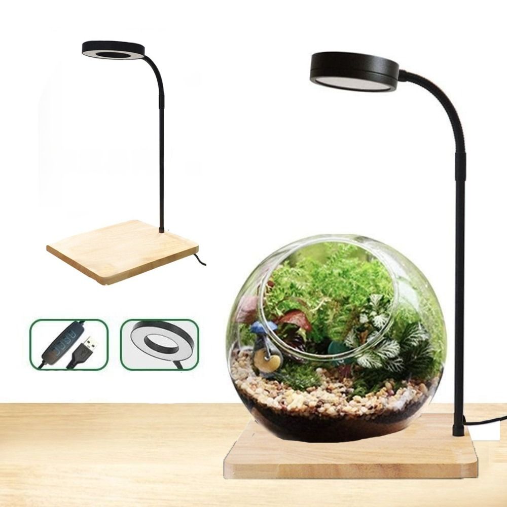 10 W LED-Lampe für Aquarien mi – Aquarium Plant On Wood Bewertung und Preis
