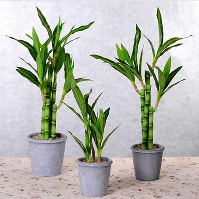 Neue 40cm Künstliche Glücksbam – Aquarium Plant Display Bewertung und Preis