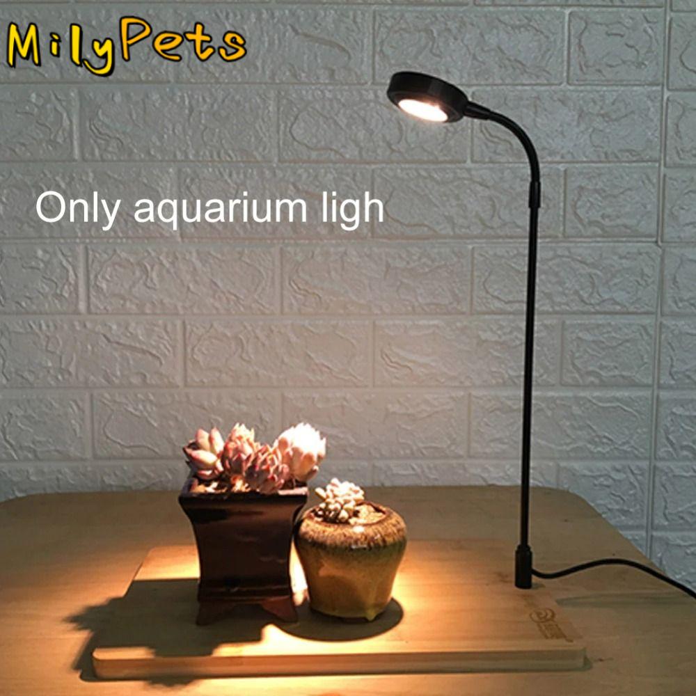 10 W Aquarium-Pflanzenfülllamp – Aquarium Plant On Wood Bewertung und Preis