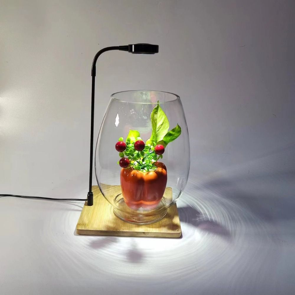 10 W Aquarium-Pflanzenfülllamp – Aquarium Plant On Wood Bewertung und Preis