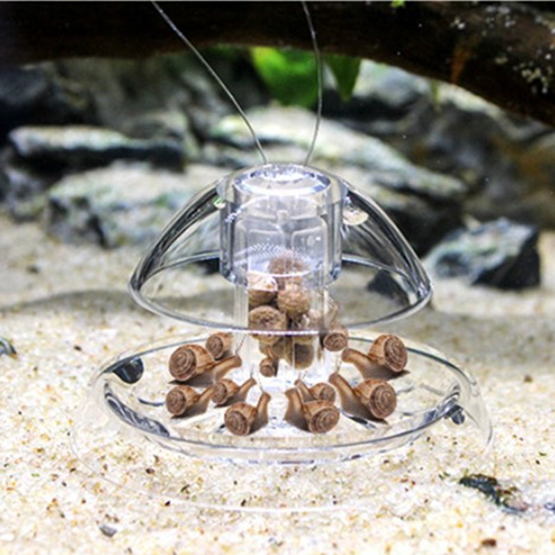 1 Stück Aquarium Aquarium Rein – Planted Aquarium Tools Bewertung und Preis