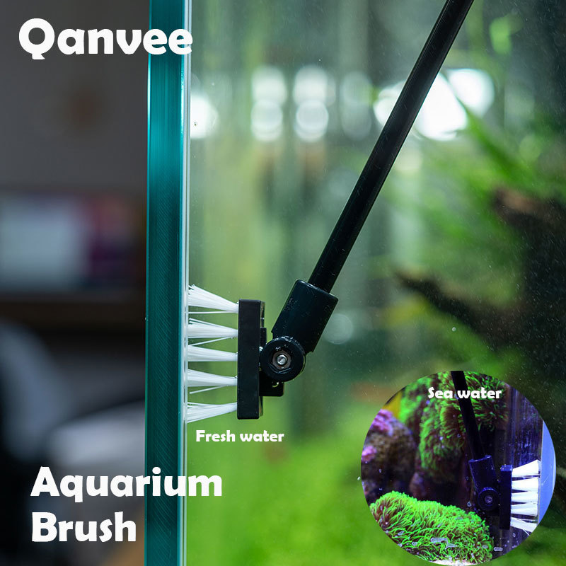 Angeln Reinigung Pinsel Anlage – Planted Aquarium Freshwater Bewertung und Preis
