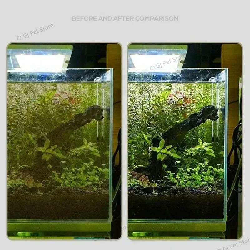Aquarium Reinigung Werkzeug Fl – Planted Aquarium Tools Bewertung und Preis
