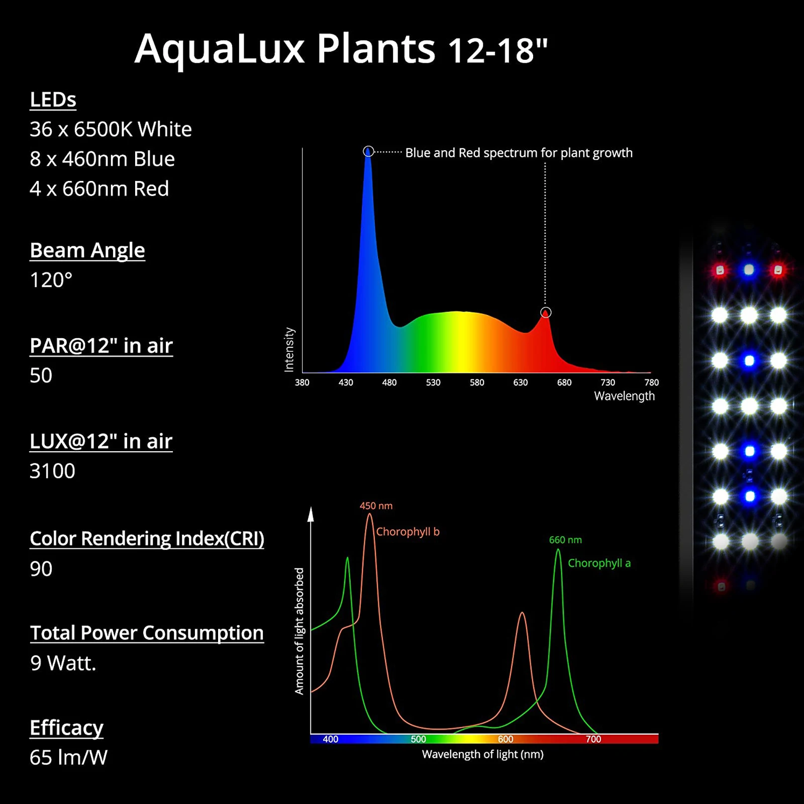 Geeignet für 12-18 Zoll Süßwas – Planted Aquarium Freshwater Bewertung und Preis