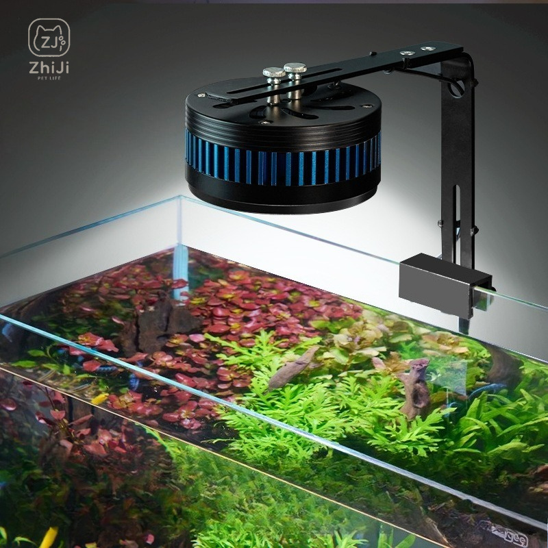 Aquarium-Downlight LED Vollspe – Aquarium Plant On Wood Bewertung und Preis