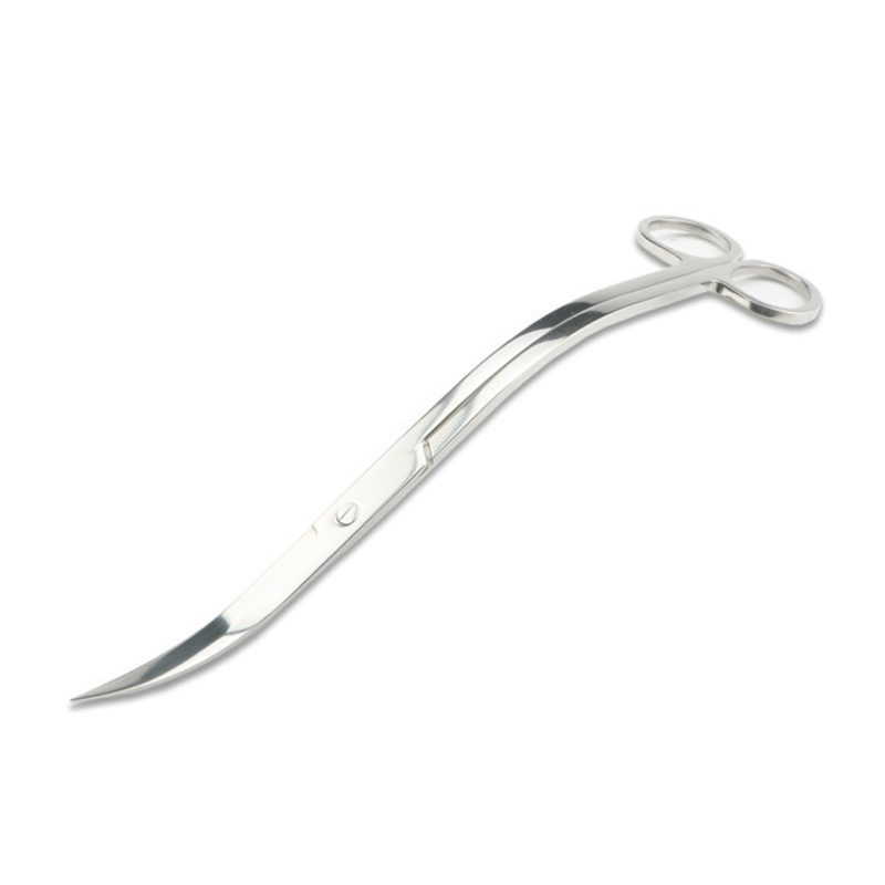 Aquarium-Schere, Pinzette, Wer – Planted Aquarium Tools Bewertung und Preis
