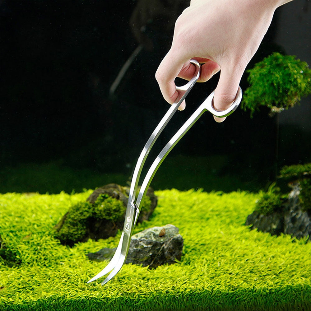 Aquarium Zubehör Hart Edelstah – Planted Aquarium Tools Bewertung und Preis
