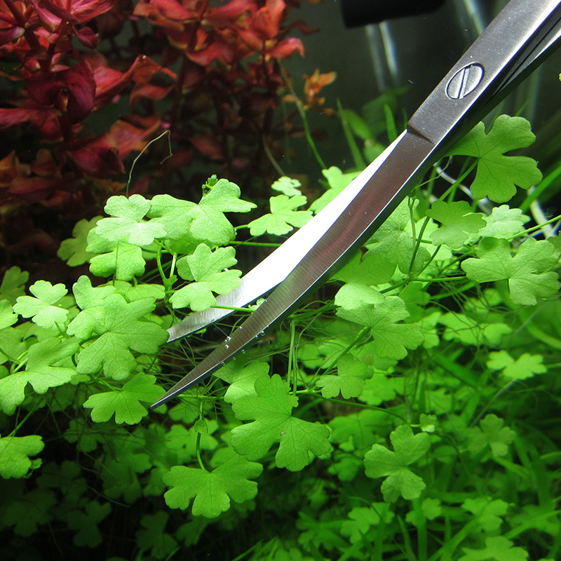 Aquarium Zubehör Hart Edelstah – Planted Aquarium Tools Bewertung und Preis
