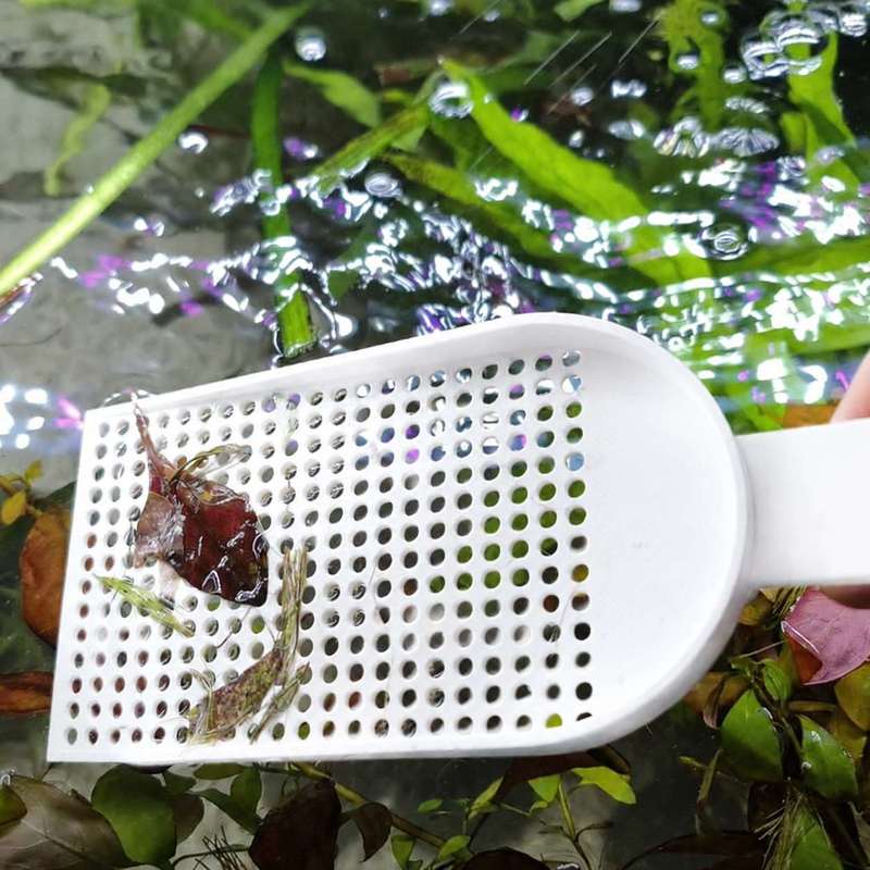 Aquarium-Fischbecken-Schmutzsc – Planted Aquarium Tools Bewertung und Preis