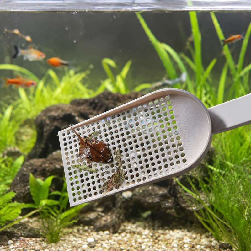 Aquarium-Fischbecken-Schmutzsc – Planted Aquarium Tools Bewertung und Preis