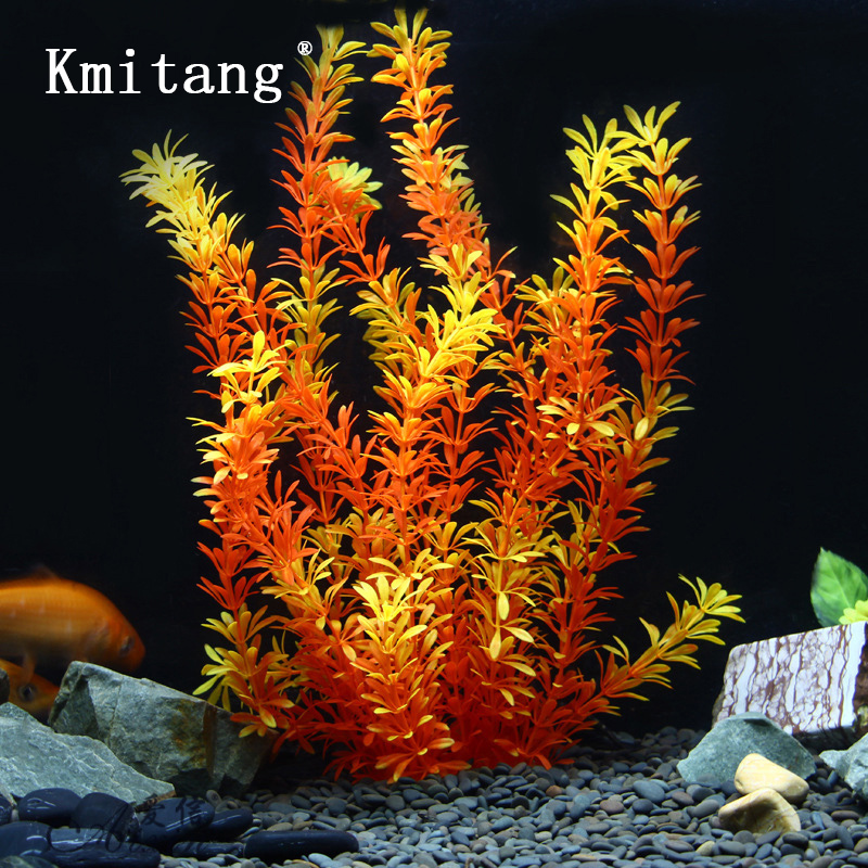 100cm Tropische Pflanzen, Groß – Aquarium Planted Tree Bewertung und Preis
