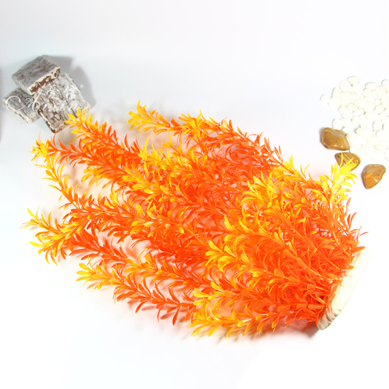 100cm Tropische Pflanzen, Groß – Aquarium Planted Tree Bewertung und Preis