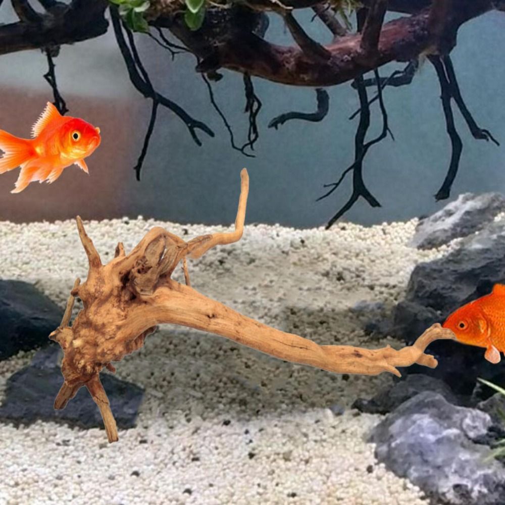 Natürliche Baumstamm Aquarium  – Aquarium Planted Tree Bewertung und Preis
