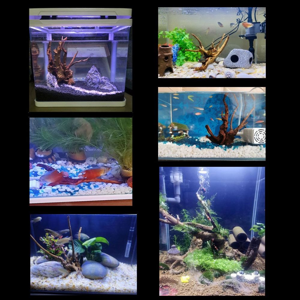Natürliche Baumstamm Aquarium  – Aquarium Planted Tree Bewertung und Preis