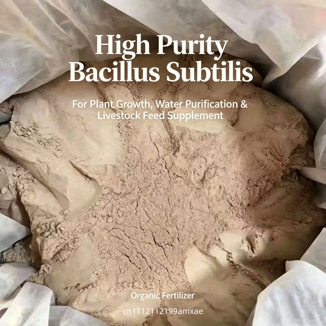 Hochwirksames Bacillus Subtili – Planted Aquarium Fertilizer Bewertung und Preis