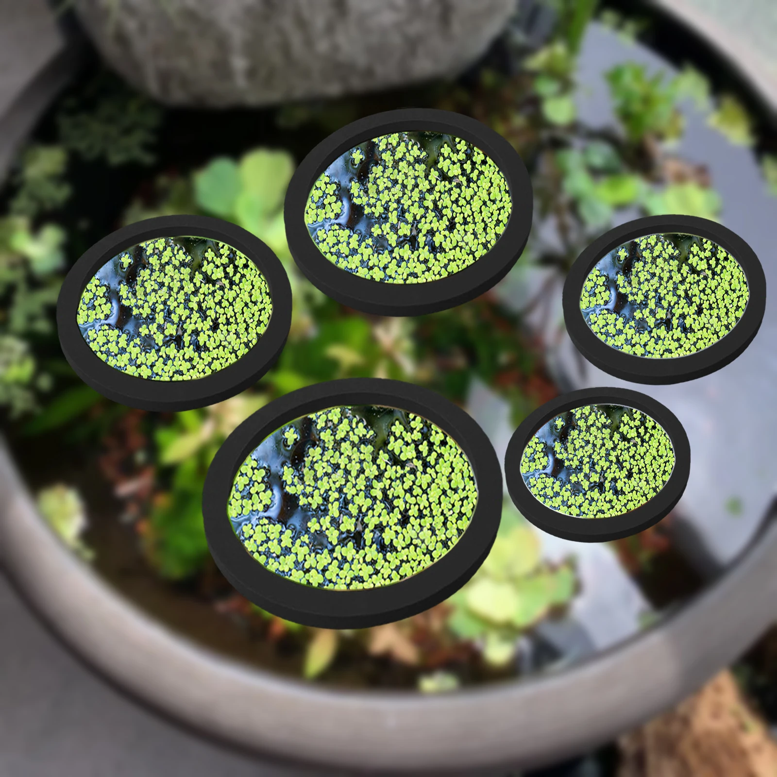 5Pcs EVA Fisch Fütterung Ring  – Aquarium Planting Bewertung und Preis