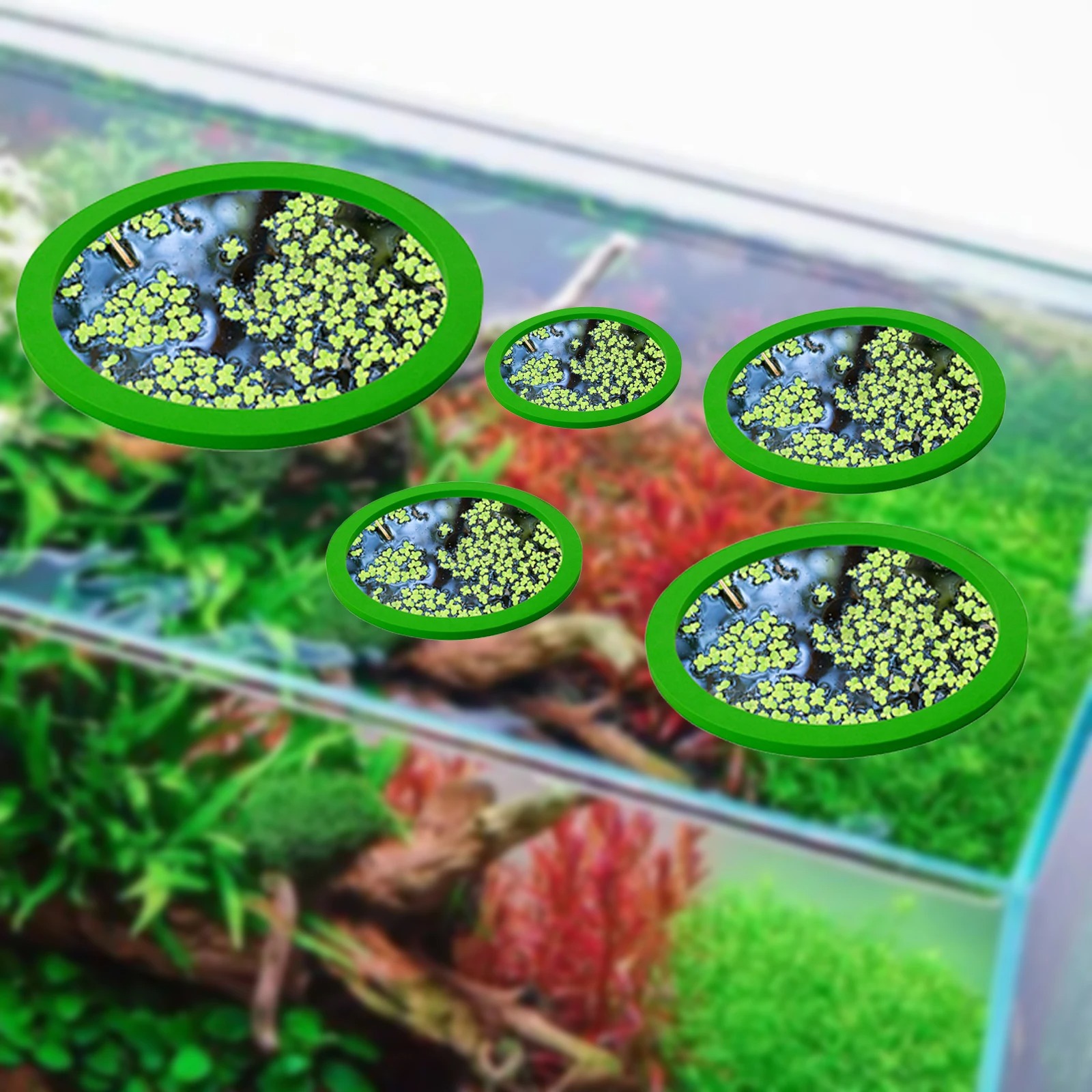 5Pcs EVA Fisch Fütterung Ring  – Aquarium Planting Bewertung und Preis