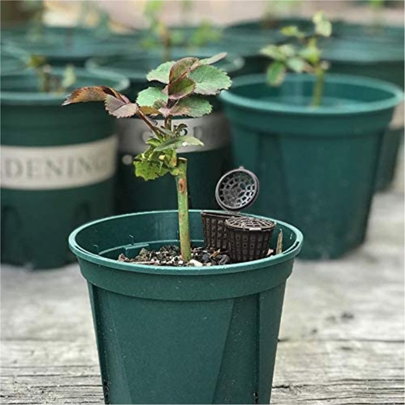 ABUH-Garden Pflanzendünger-Net – Planted Aquarium Fertilizer Bewertung und Preis