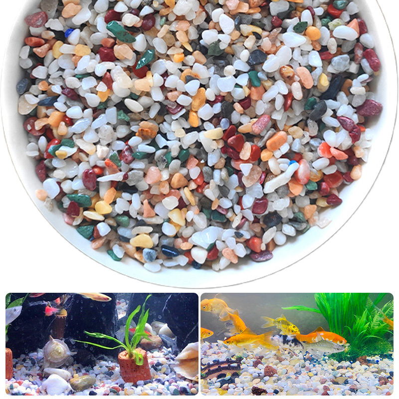 Natürlicher Kiesstein, 200–100 – Planted Aquarium With Sand Bewertung und Preis