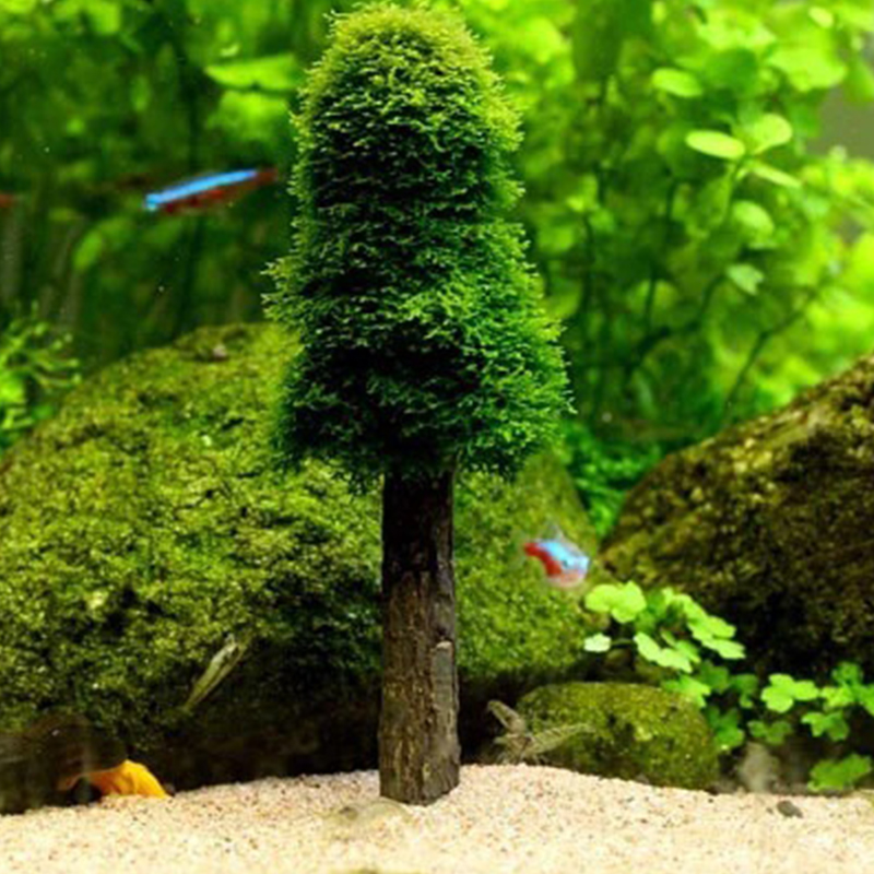 Aquarium Tank Landschaft Dekor – Aquarium Planted Tree Bewertung und Preis