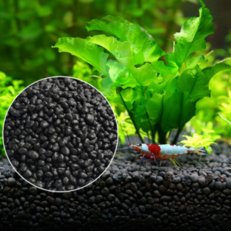 Aquarium Pflanzen Samen Boden  – Planted Aquarium Freshwater Bewertung und Preis