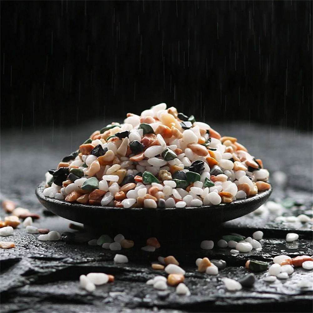 100g Natürlicher Kristallkies  – Planted Aquarium With Sand Bewertung und Preis